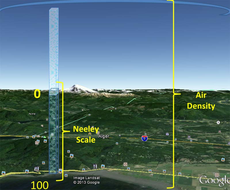 The Neeley Scale